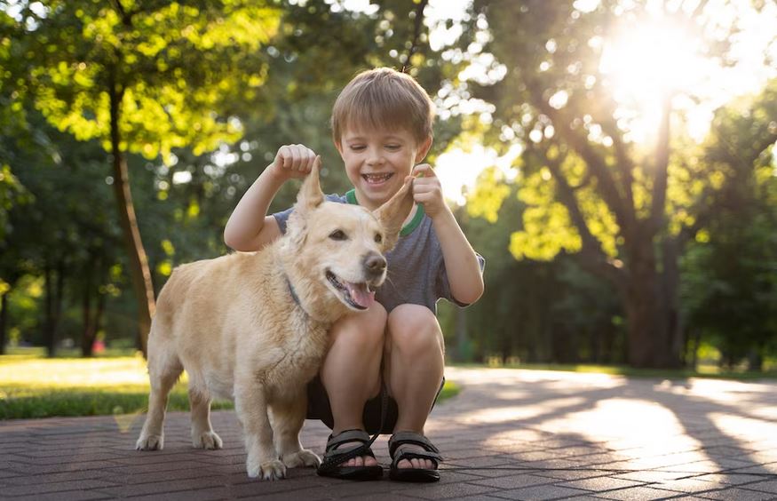 کمک سگ به کودک مبتلا به اوتیسم