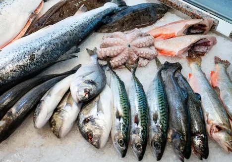 ماهی مناسب برای سلامت قلب