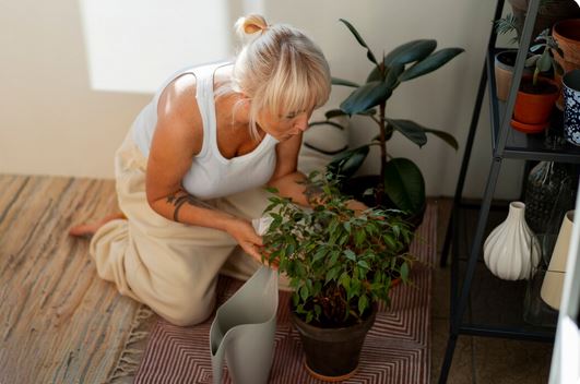 🍎 فواید میوه و سبزیجات تازه برای بدن و ذهن